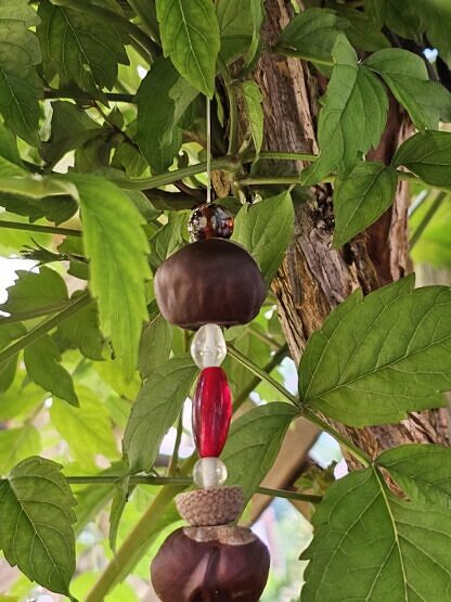 Herbst Girlande Schwemmholz Treibholz Deko Mobile mit Herzanhänger aus Holz Landhausstil rot Kastanien Baumnüssen Eichelhütchen roten und weissen Glasperlen