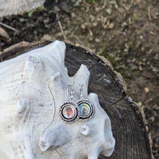 Ohrringe Silber mit Abalone Muscheln